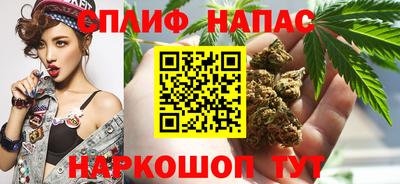 гидропоника Моздок