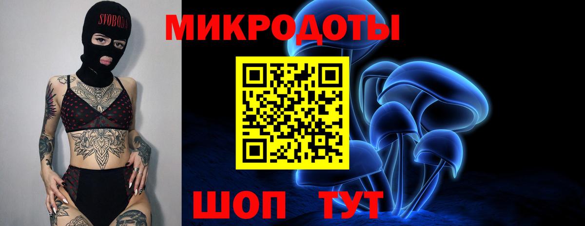 Чебоксары  Псилоцибиновые грибы Cubensis  Вход с VPN 